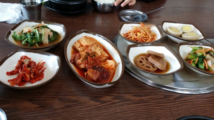 돼지두마리 이미지