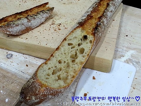 심플리브레드(simply bread) 이미지