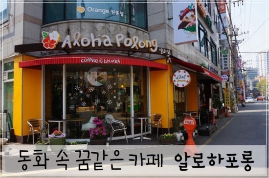 알로하포롱 이미지