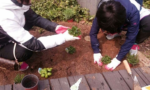 목동텃밭 이미지
