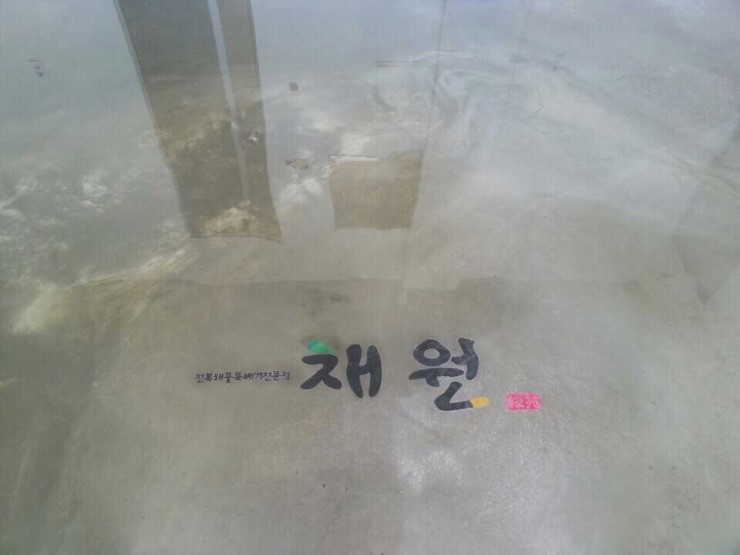 남해전복 이미지