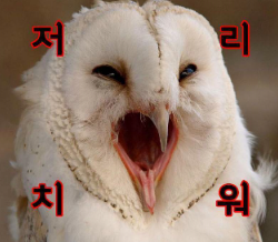 파스타예요평내 이미지