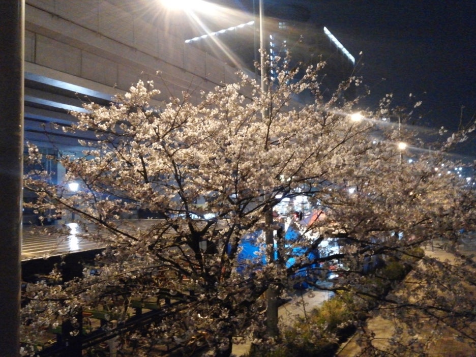 신발신고 이미지