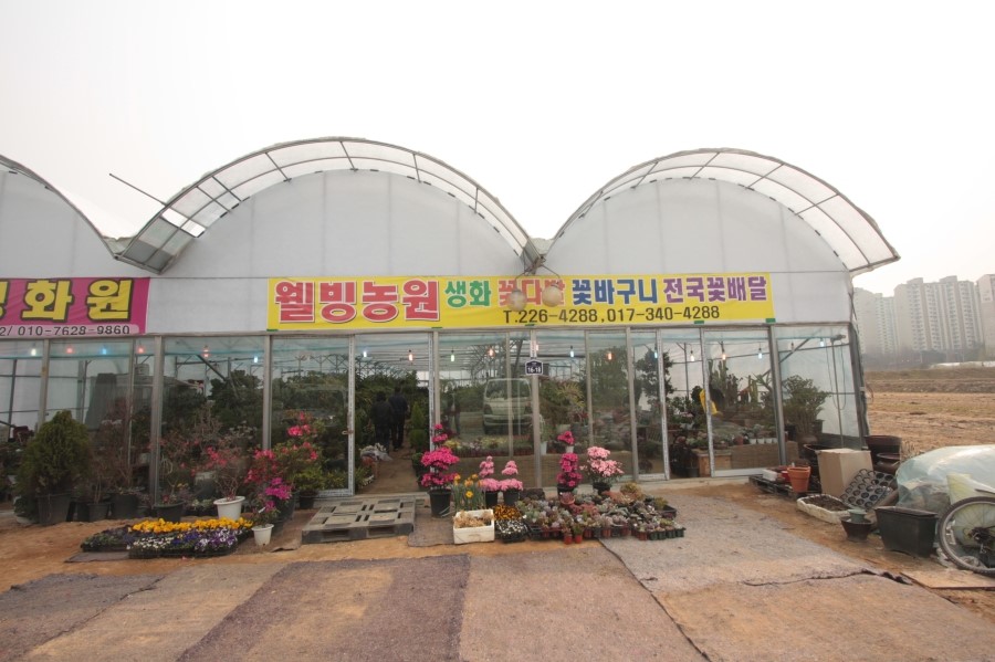 웰빙꽃화원 이미지