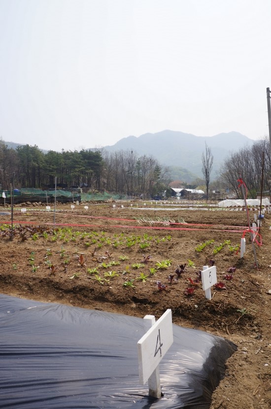 샘터농장 이미지