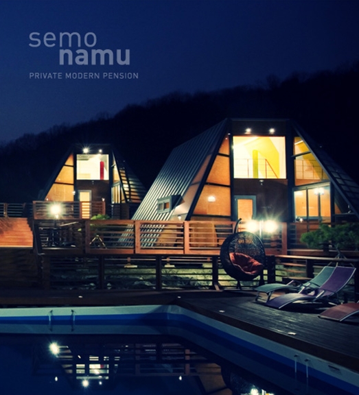 세모난나무 이미지