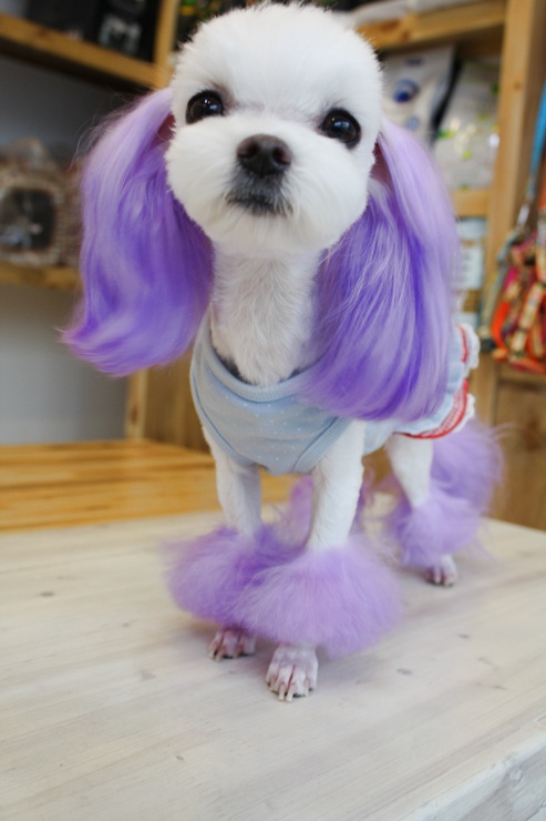 별난살롱 이미지