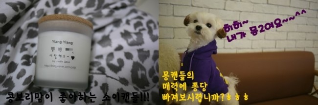 스위티봉봉 이미지