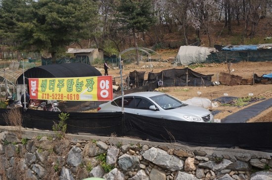 샘터농장 이미지