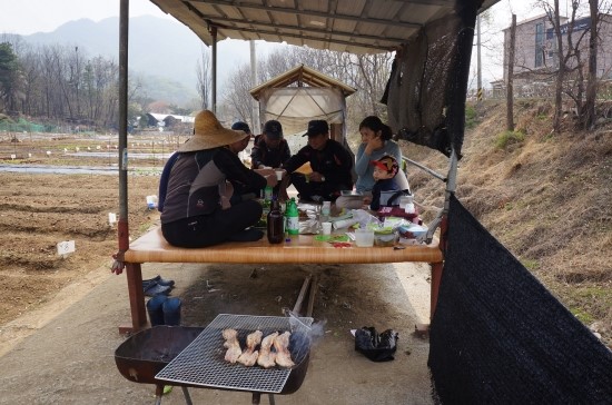 샘터농장 이미지