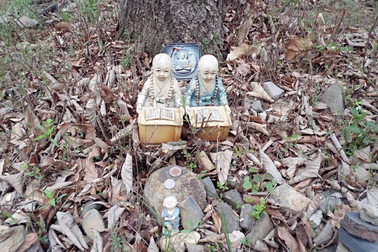 명문당한의원 이미지