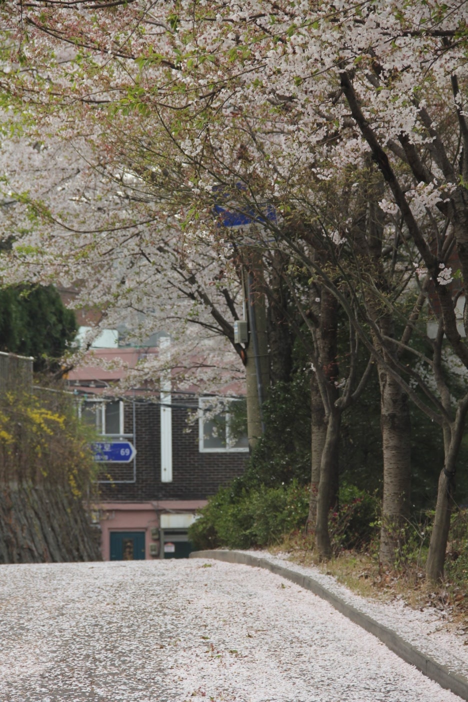 꽃잎마을 이미지
