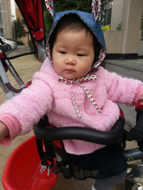 지우스 이미지
