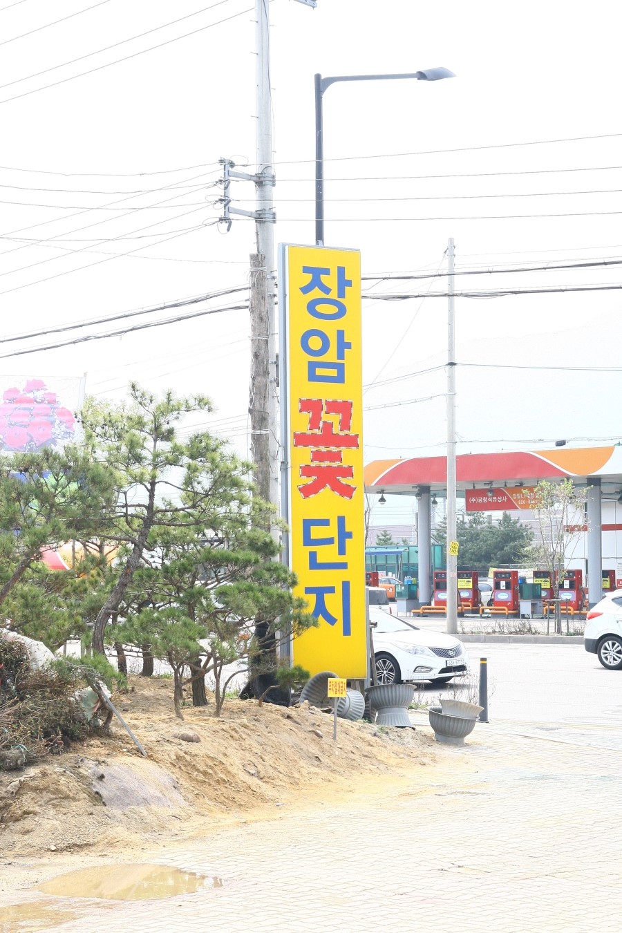 장암주유소 이미지