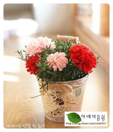 공방나무아래 이미지
