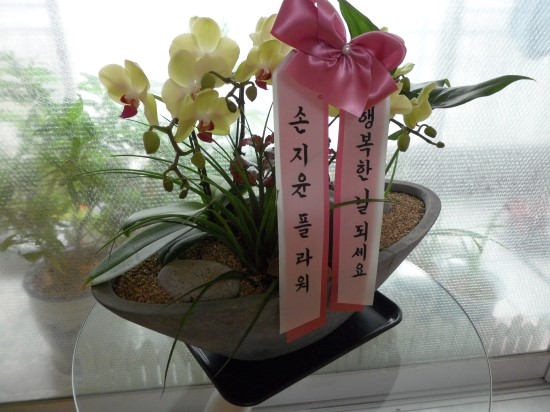 손지윤플라워 이미지