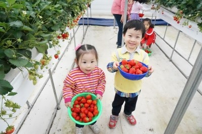 고마또래 이미지