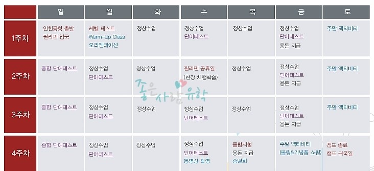 닥터스캠프 이미지