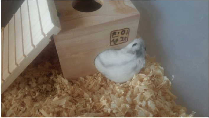 생각공방 이미지