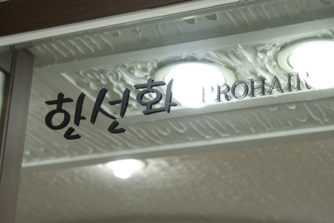 한선화 프로헤어 이미지
