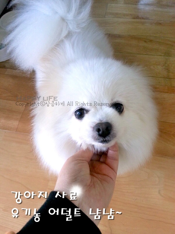 냠냠 이미지