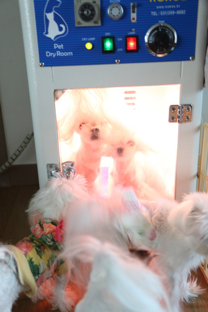 쎄미네집 이미지