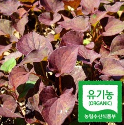 거창홍어성초영농조합법인 이미지