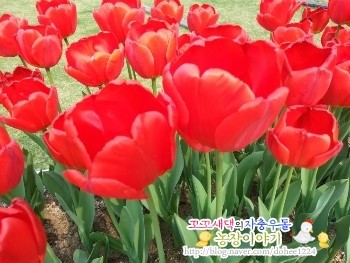 던킨여주 이미지