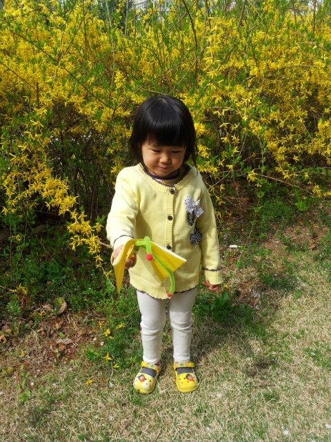 하콩이네 이미지