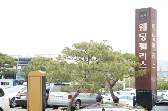 웨딩펠리스 이미지