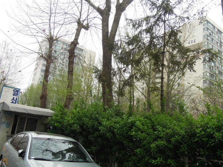 새서울수선집 이미지
