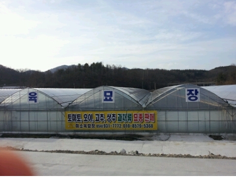 미소육묘장 이미지