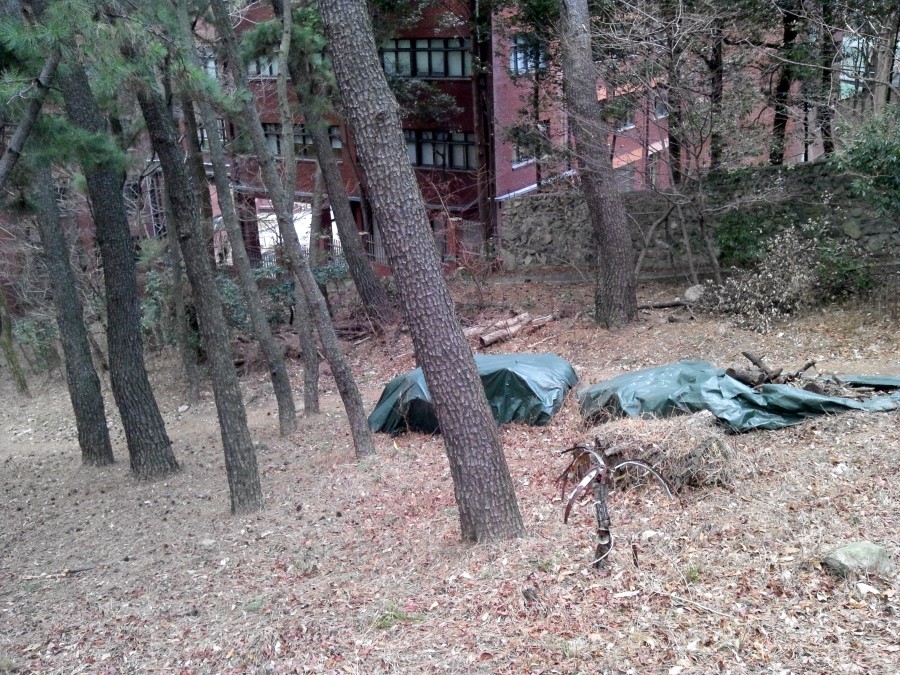 모텔오아시스 이미지