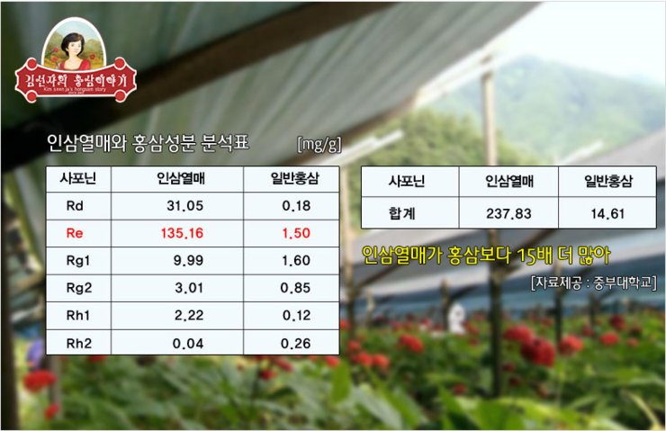 파낙스진생 이미지