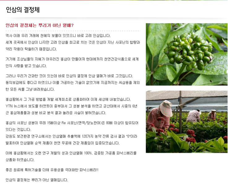 파낙스진생 이미지