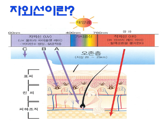 피에프케이 이미지
