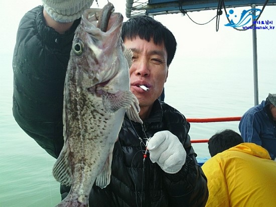 해조호 이미지