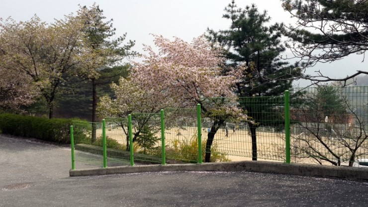 청파이용원 이미지