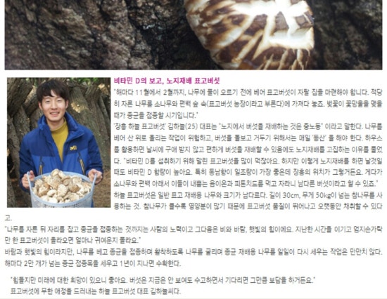 하늘표고버섯 이미지