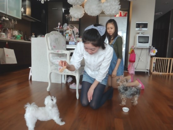 공차김포 이미지