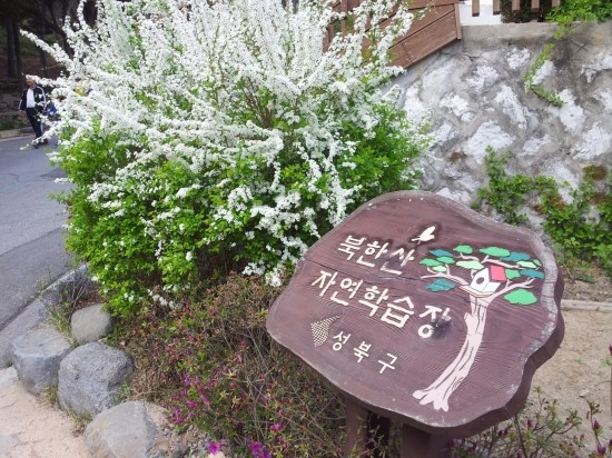 개운산 자연학습장 이미지