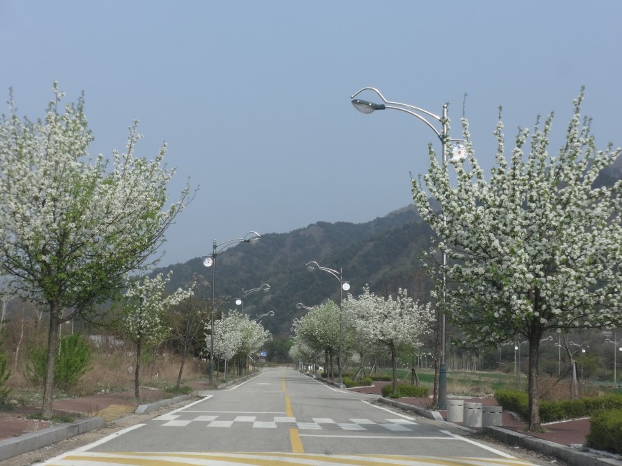 십이선녀탕주유소 이미지