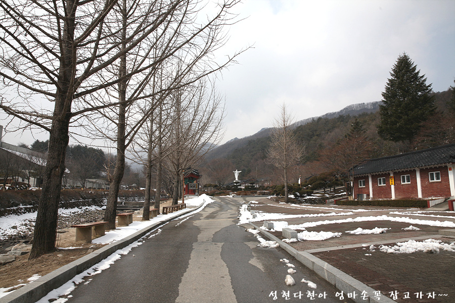 (주)성지여행 이미지