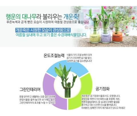 푸딩하우스 이미지