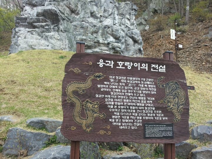 (주)나이스항공여행사 이미지