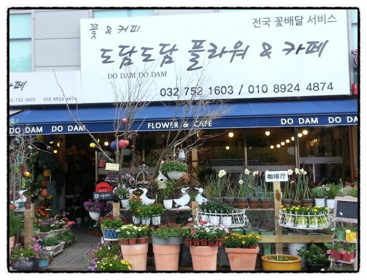 도담플라워 이미지