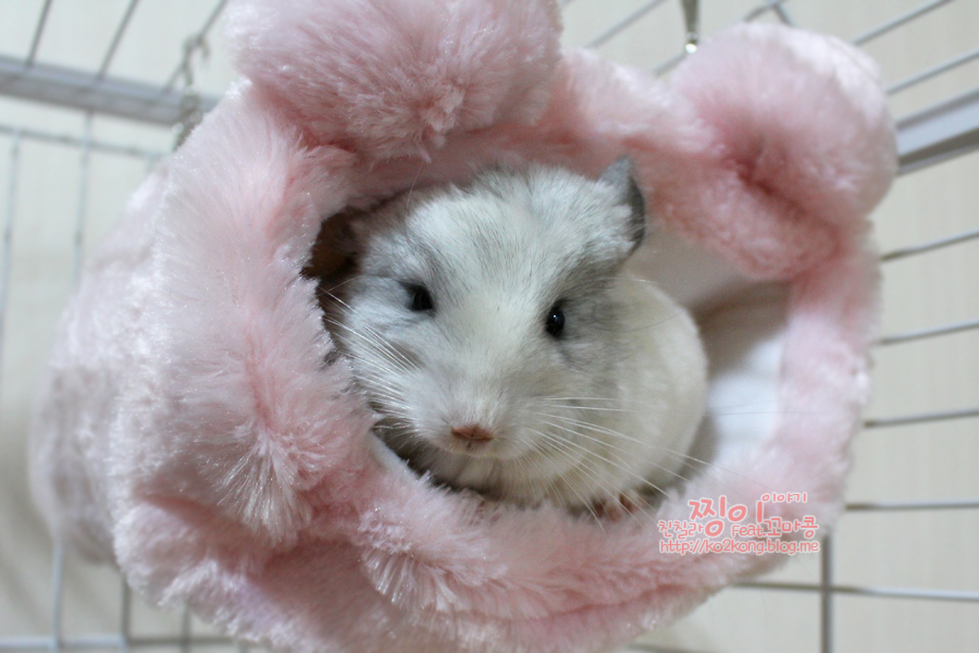 아이컨택 이미지