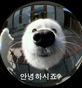새한글로벌렌트카 이미지