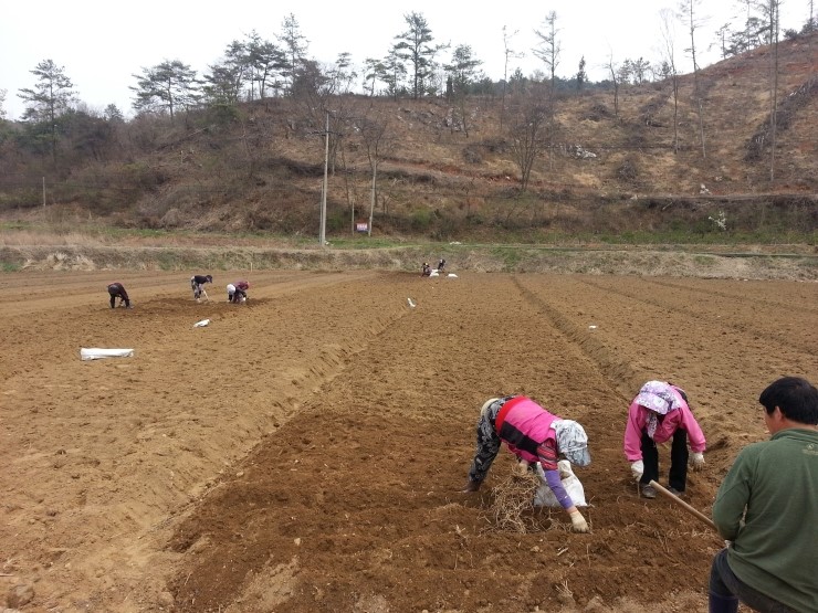 도선농장 이미지