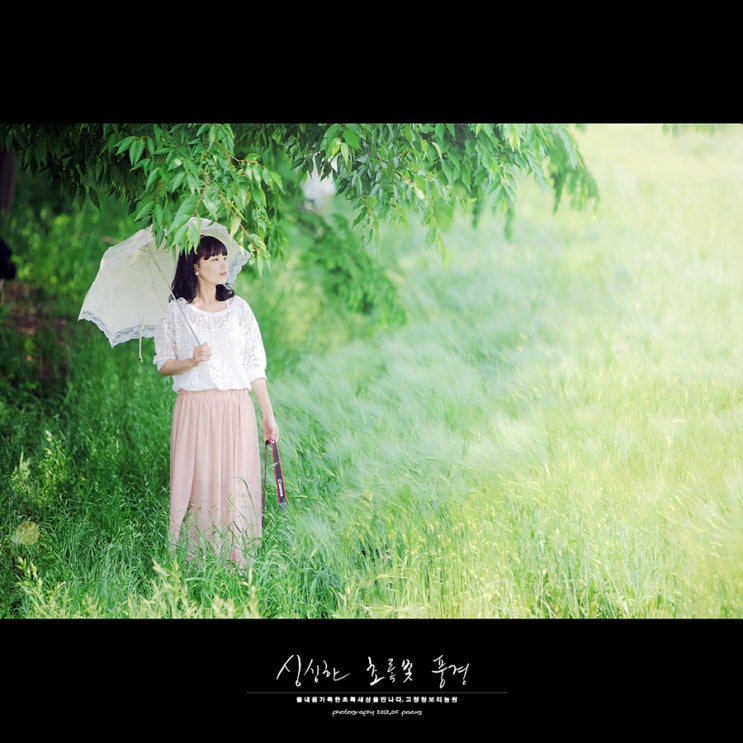 (주)초록빛 이미지